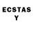 Ecstasy Philipp Plein lipton