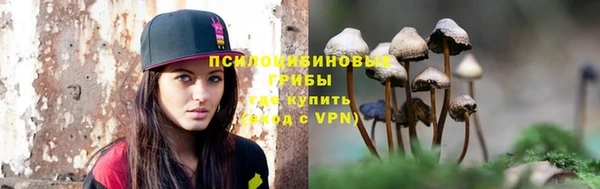 apvp Михайловка