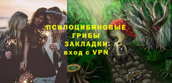 МДПВ Михайловск
